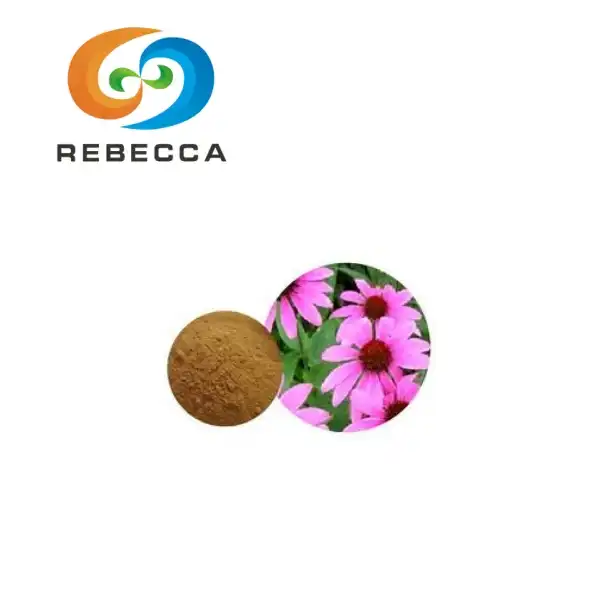 Echinacea Purpurea Extract Powder